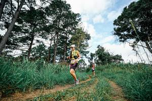 BIB: 
                            <button type="button" onclick="openModal(26037702)" class="btn btn-primary btn-sm float-right btn-popup" data-toggle="modal" data-target=".modal-high-quality">
                        <i class="fas fa-shopping-cart"></i> Add to Cart
                    </button>
                                            <button type="button" onclick="isThisMe(26037702, true)" class="btn btn-success btn-sm float-right btn-popup btn-isme hidden" data-toggle="tooltip" data-placement="bottom" title="นี่คือรูปของคุณใช่ไหม คลิกที่นี่เพื่อเอาเข้าอัลบั้ม">
                        <i class="fas fa-plus"></i> Add to album
                    </button>
                    <button type="button" onclick="isThisMe(26037702, false)" class="btn btn-warning btn-sm float-right btn-popup btn-isnotme hidden">
                        <i class="fas fa-ban"></i> Remove from album
                    </button>